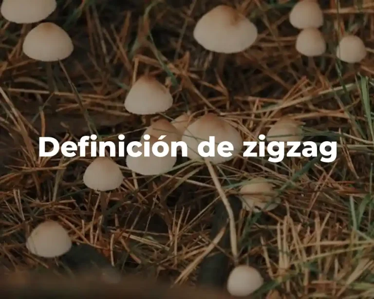 Definición de zigzag