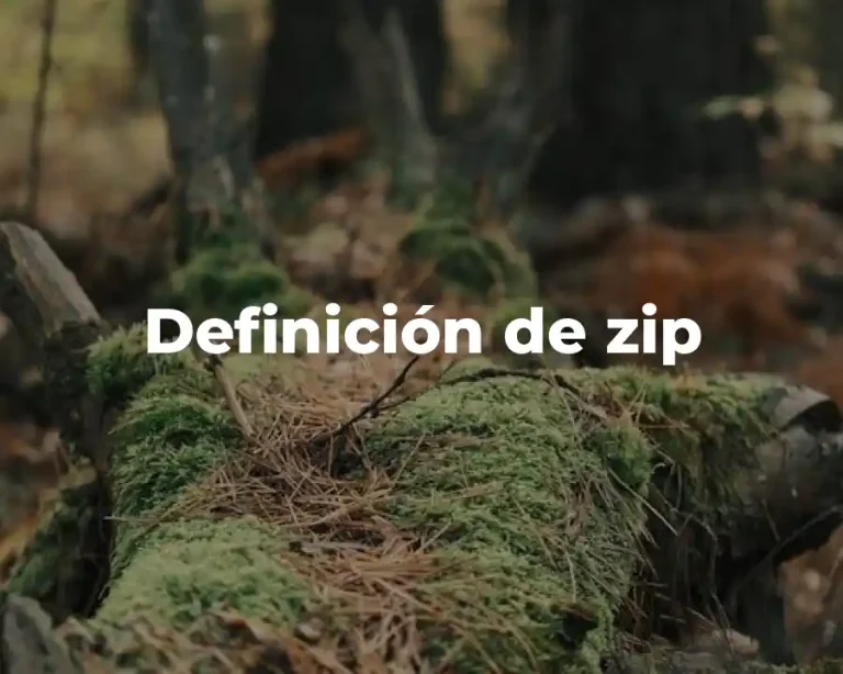Definición de zip