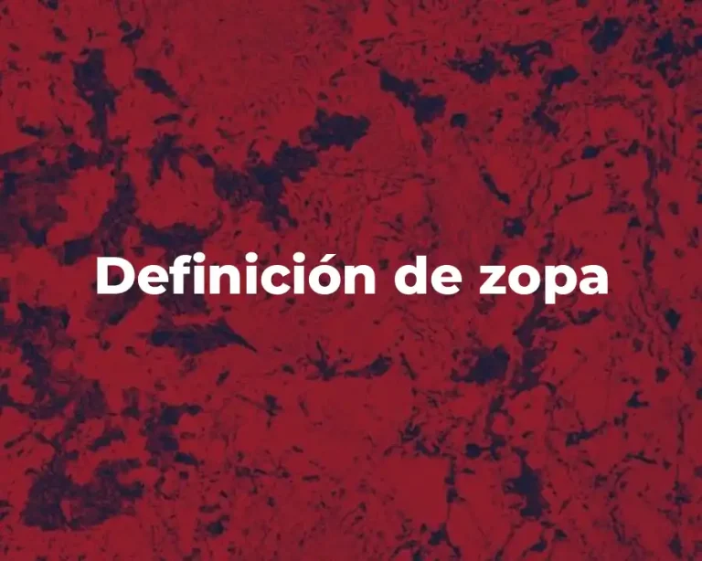 Definición de zopa