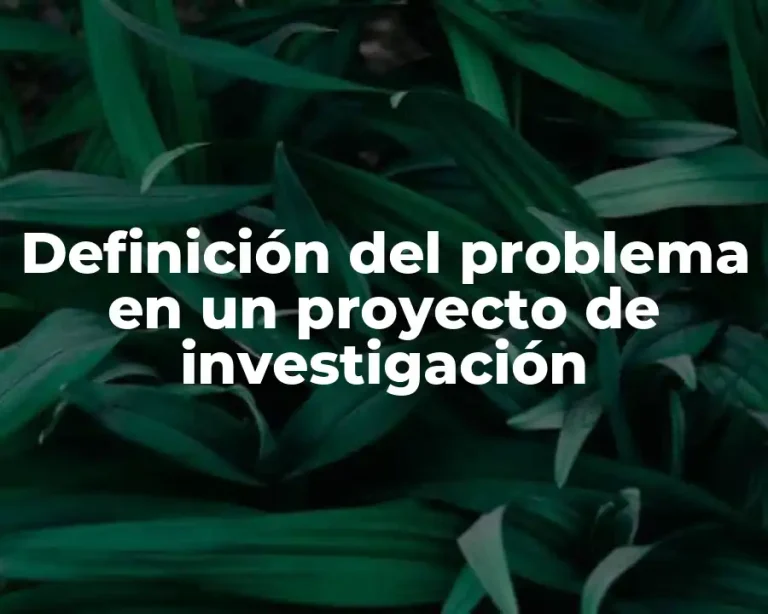 Definición del problema en un proyecto de investigación