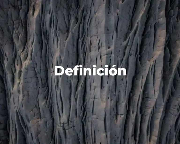 Definición