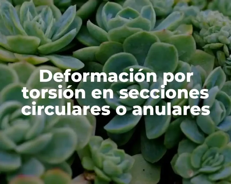 Deformación por torsión en secciones circulares o anulares