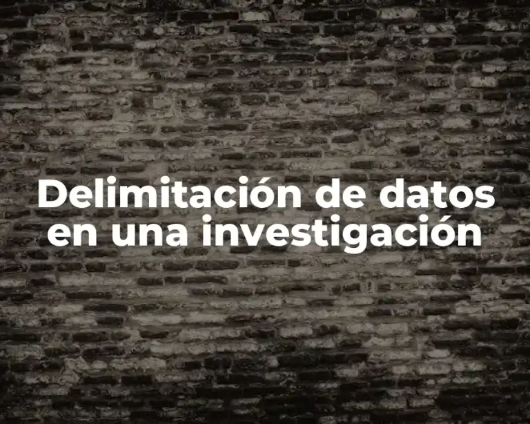 Delimitación de datos en una investigación