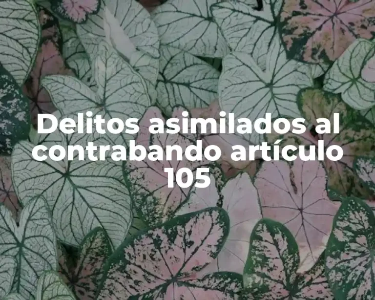 Delitos asimilados al contrabando artículo 105