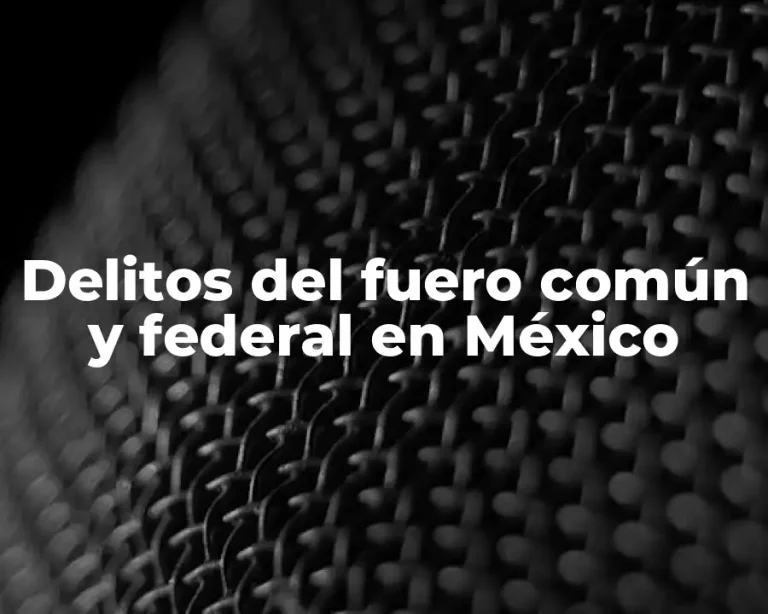 Delitos del fuero común y federal en México