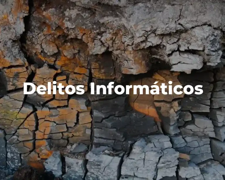 Delitos Informáticos