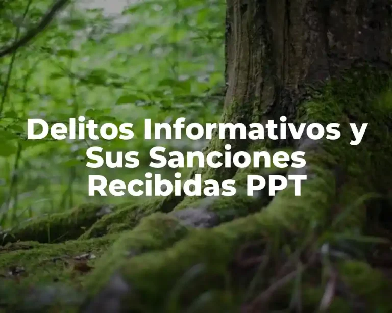Delitos Informativos y Sus Sanciones Recibidas PPT