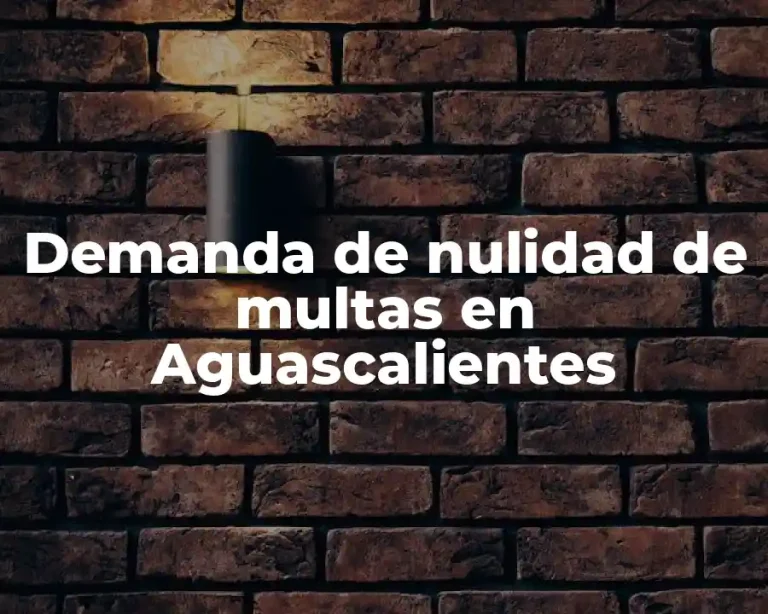 Demanda de nulidad de multas en Aguascalientes