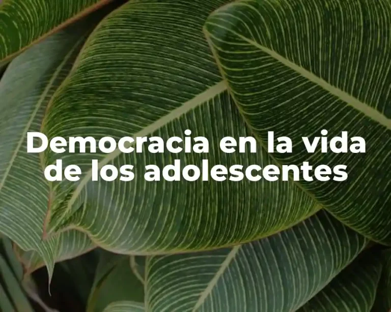 Democracia en la vida de los adolescentes