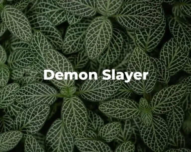 Demon Slayer