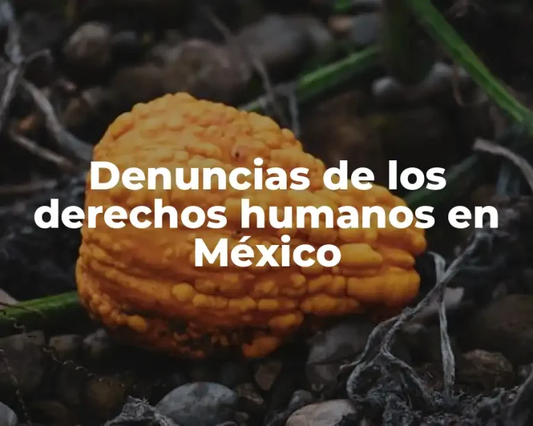 Denuncias de los derechos humanos en México