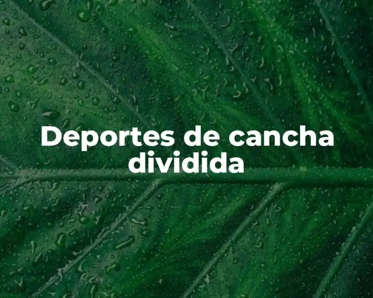 Deportes de cancha dividida