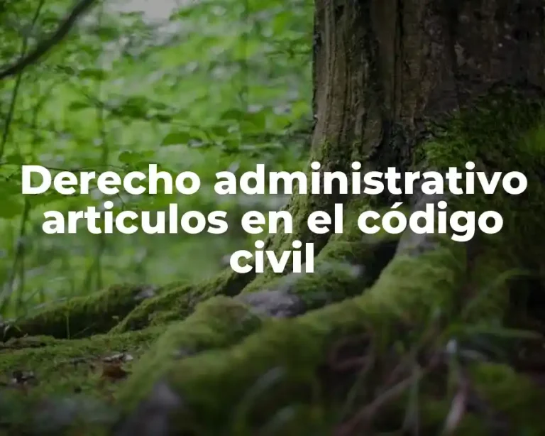 Derecho administrativo articulos en el código civil