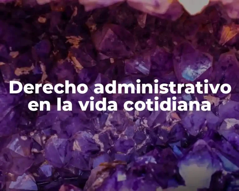 Derecho administrativo en la vida cotidiana