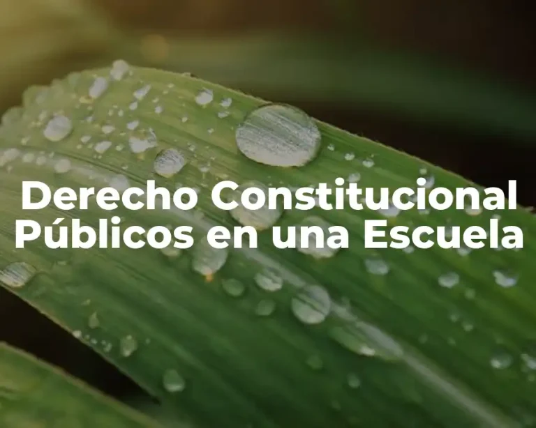 Derecho Constitucional Públicos en una Escuela