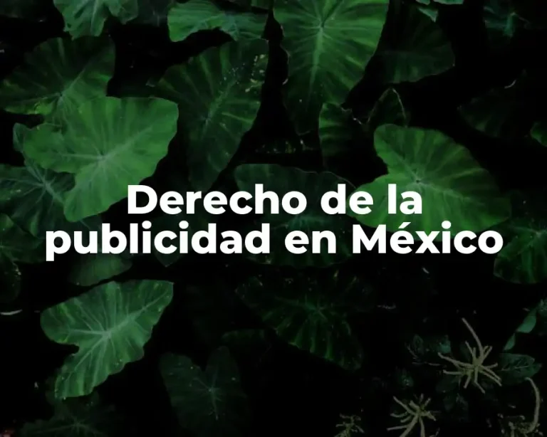 Derecho de la publicidad en México