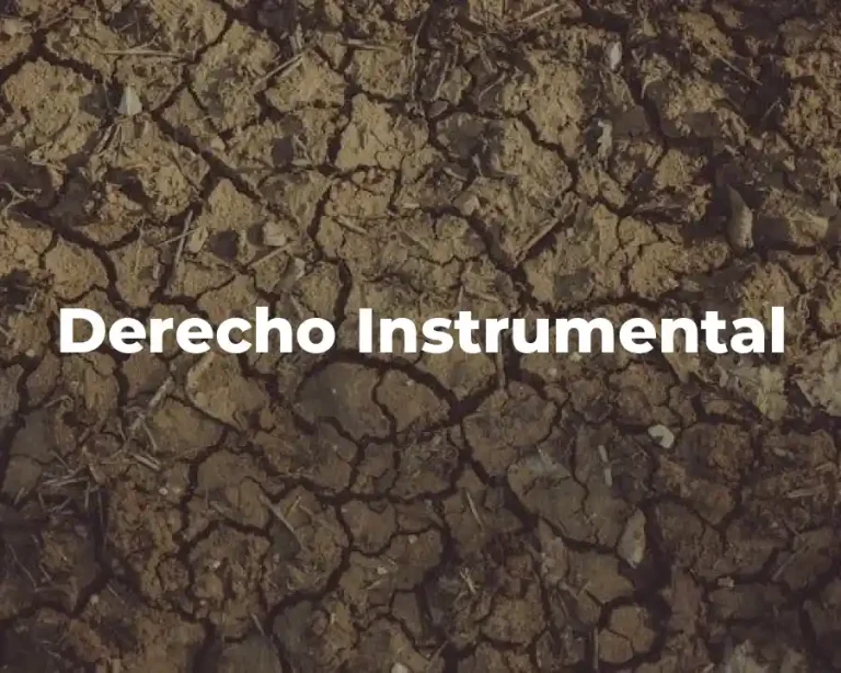 Derecho Instrumental
