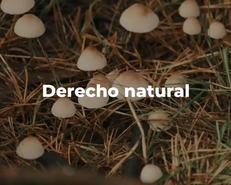 Derecho natural