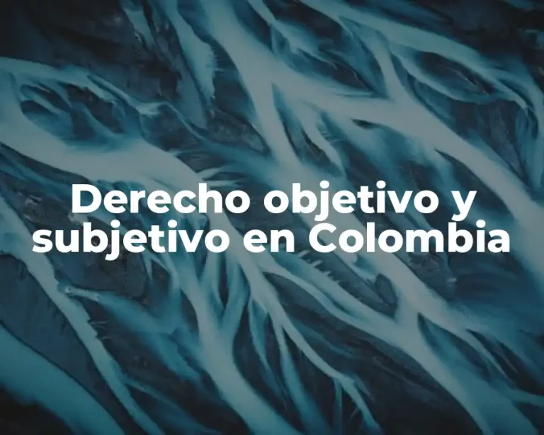 Derecho objetivo y subjetivo en Colombia