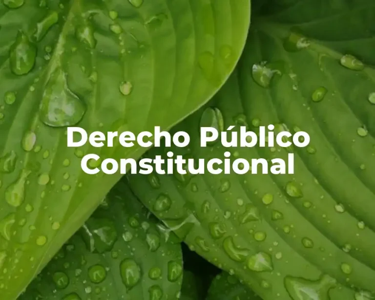 Derecho Público Constitucional