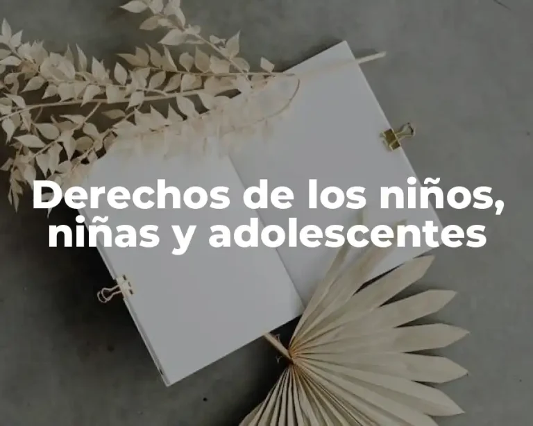 Derechos de los niños, niñas y adolescentes