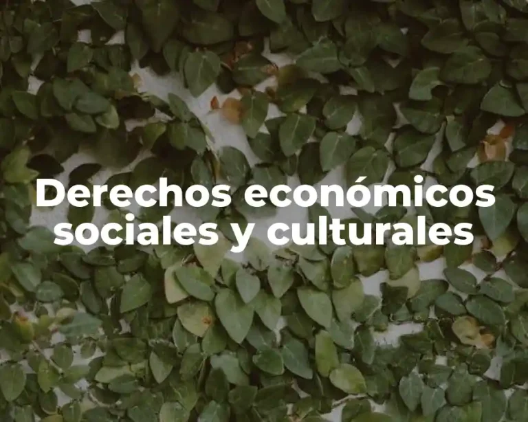 Derechos económicos sociales y culturales