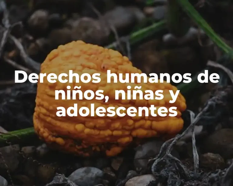 Derechos humanos de niños, niñas y adolescentes