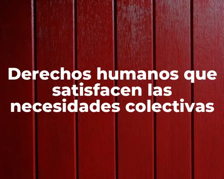 Derechos humanos que satisfacen las necesidades colectivas