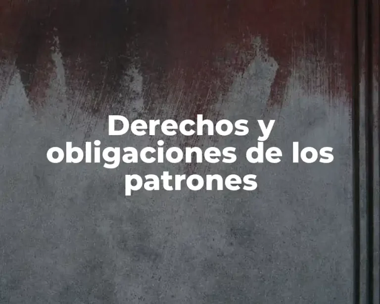 Derechos y obligaciones de los patrones