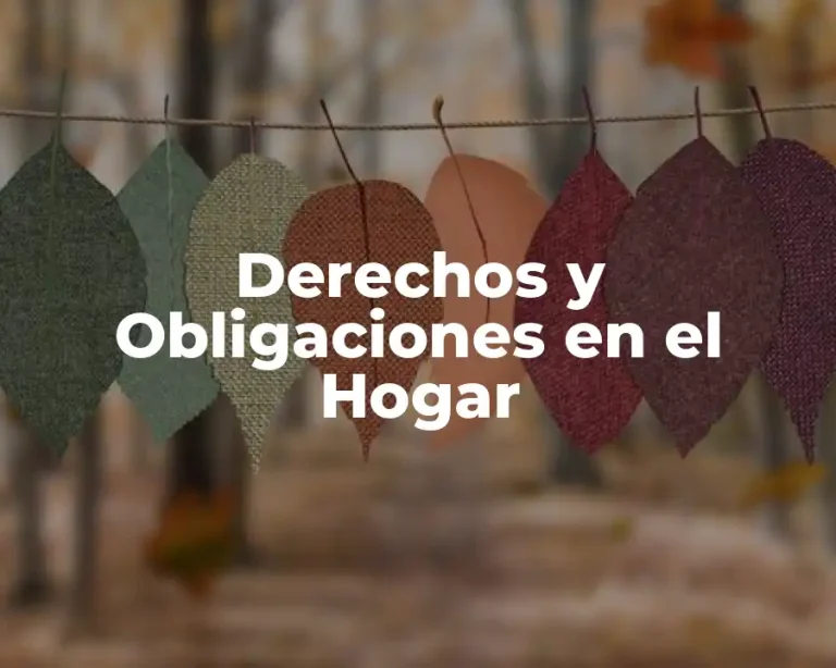 Derechos y Obligaciones en el Hogar