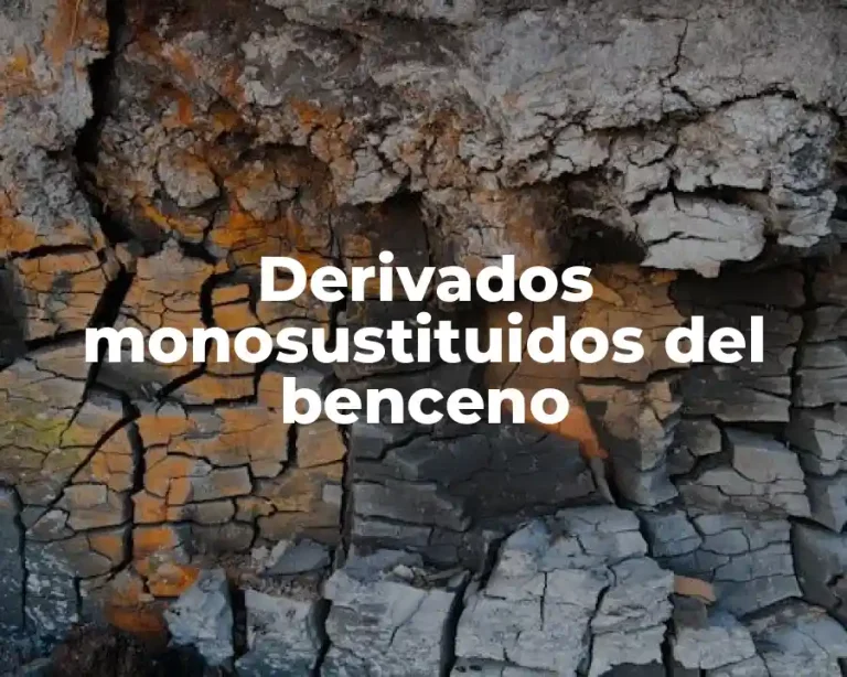 Derivados monosustituidos del benceno