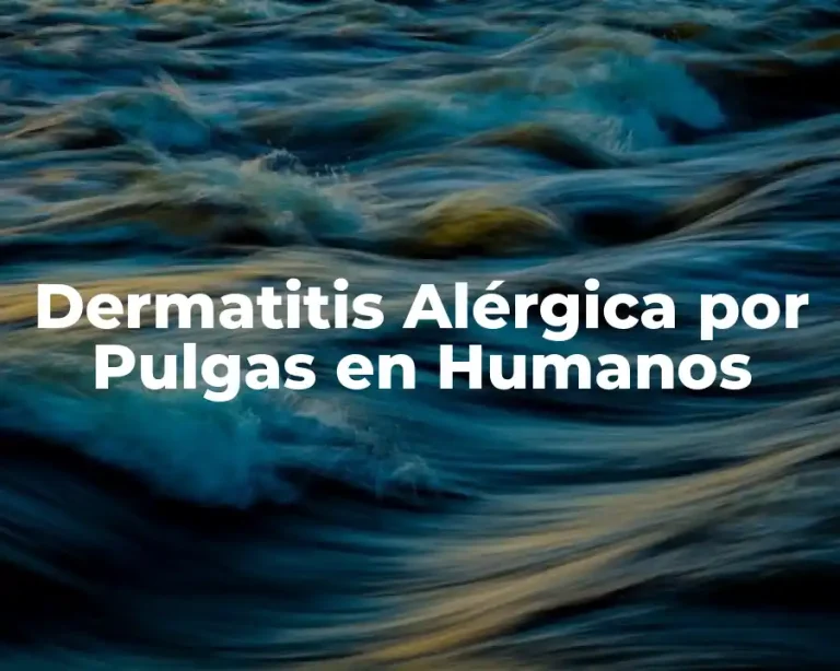 Dermatitis Alérgica por Pulgas en Humanos