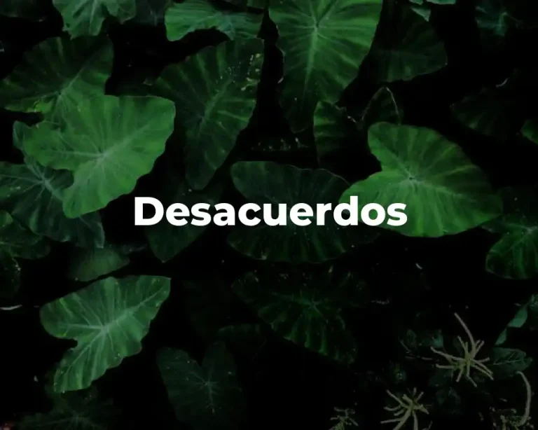 Desacuerdos