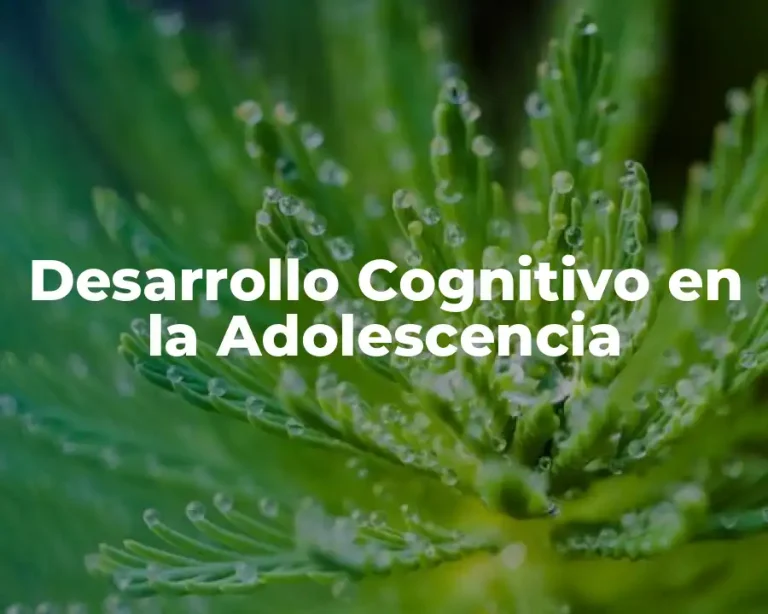 Desarrollo Cognitivo en la Adolescencia