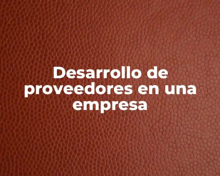 Desarrollo de proveedores en una empresa