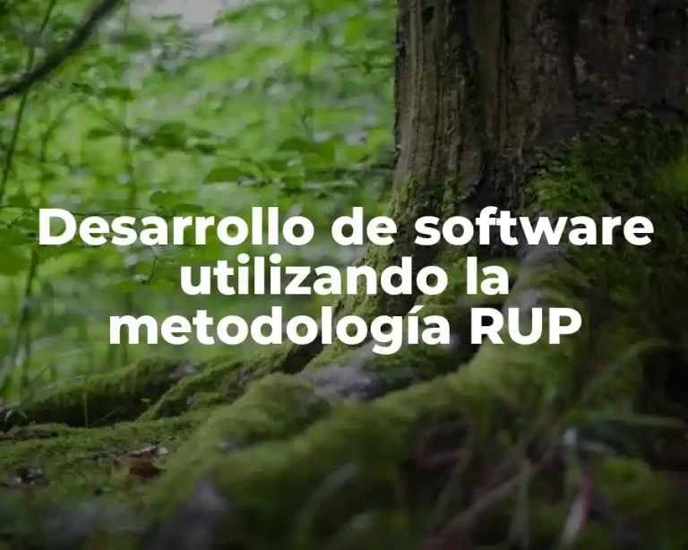 Desarrollo de software utilizando la metodología RUP