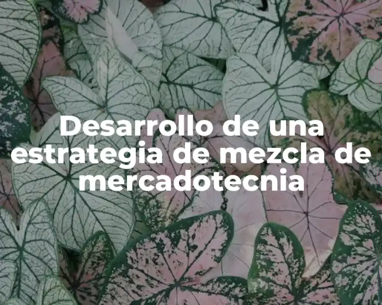 Desarrollo de una estrategia de mezcla de mercadotecnia