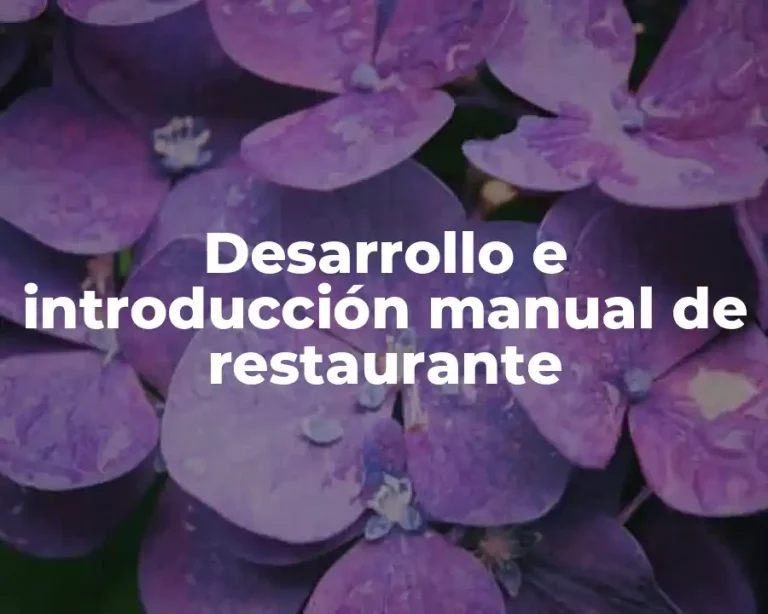 Desarrollo e introducción manual de restaurante