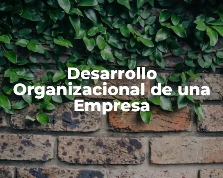 Desarrollo Organizacional de una Empresa
