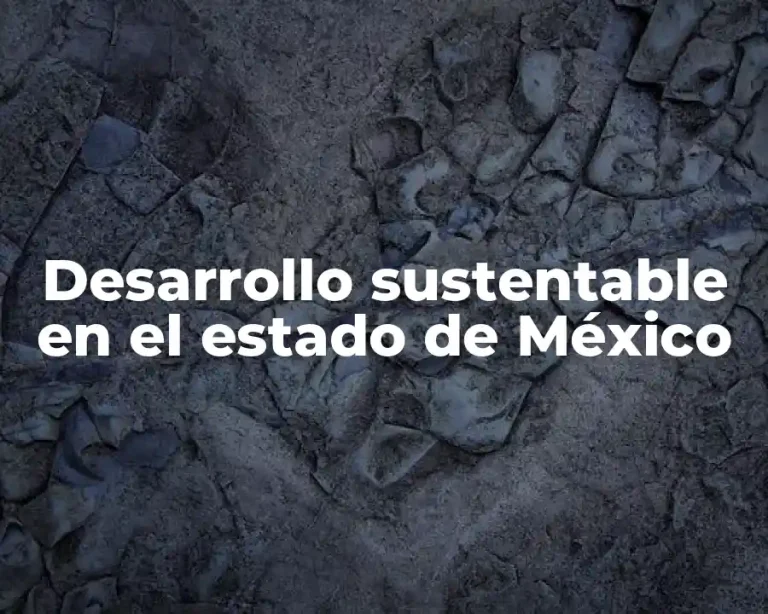 Desarrollo sustentable en el estado de México