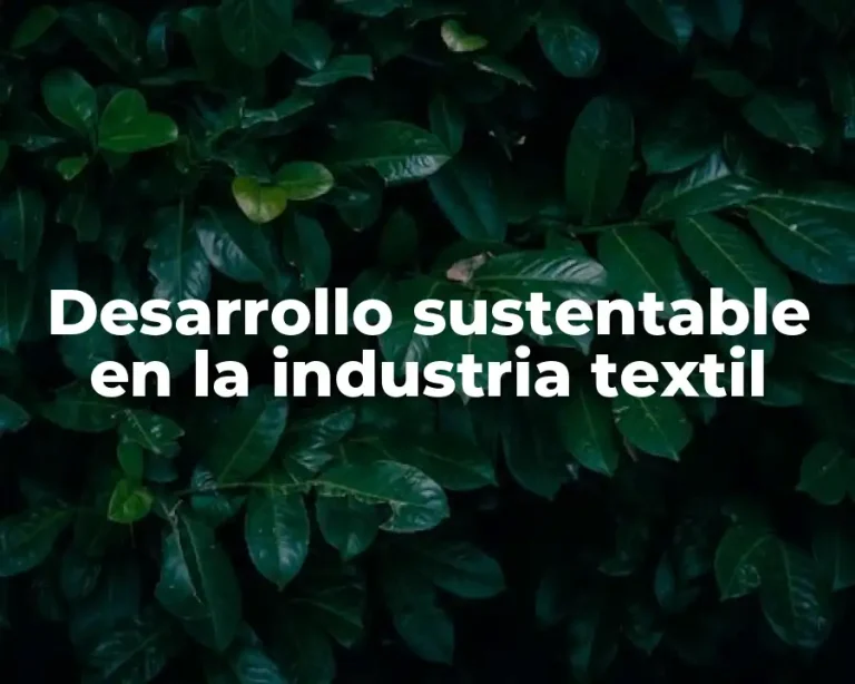Desarrollo sustentable en la industria textil