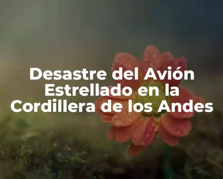 Desastre del Avión Estrellado en la Cordillera de los Andes