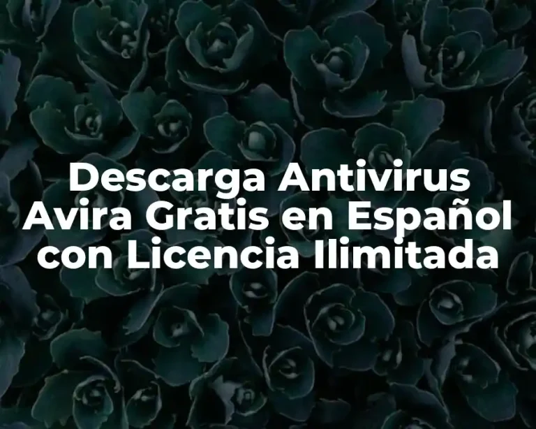 Descarga Antivirus Avira Gratis en Español con Licencia Ilimitada
