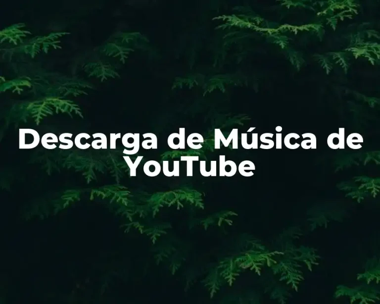 Descarga de Música de YouTube
