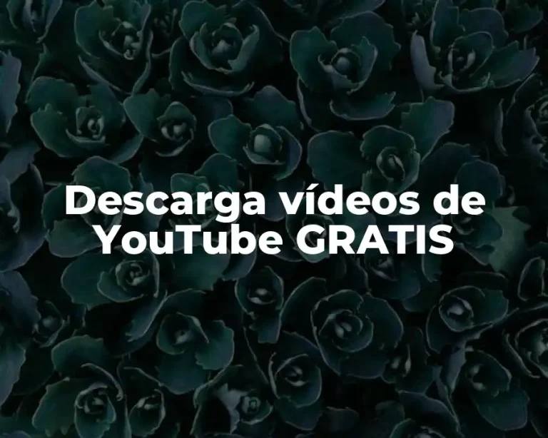 Descarga vídeos de YouTube GRATIS