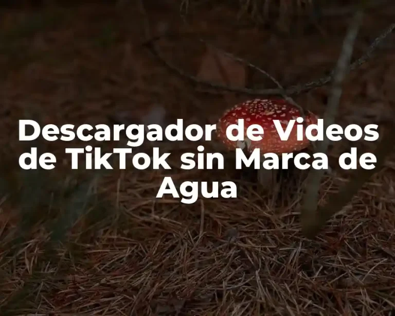 Descargador de Videos de TikTok sin Marca de Agua
