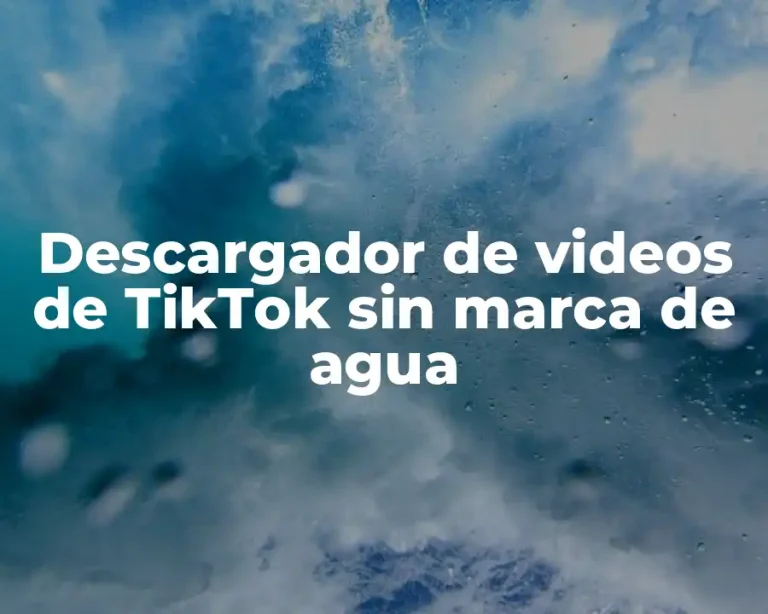 Descargador de videos de TikTok sin marca de agua