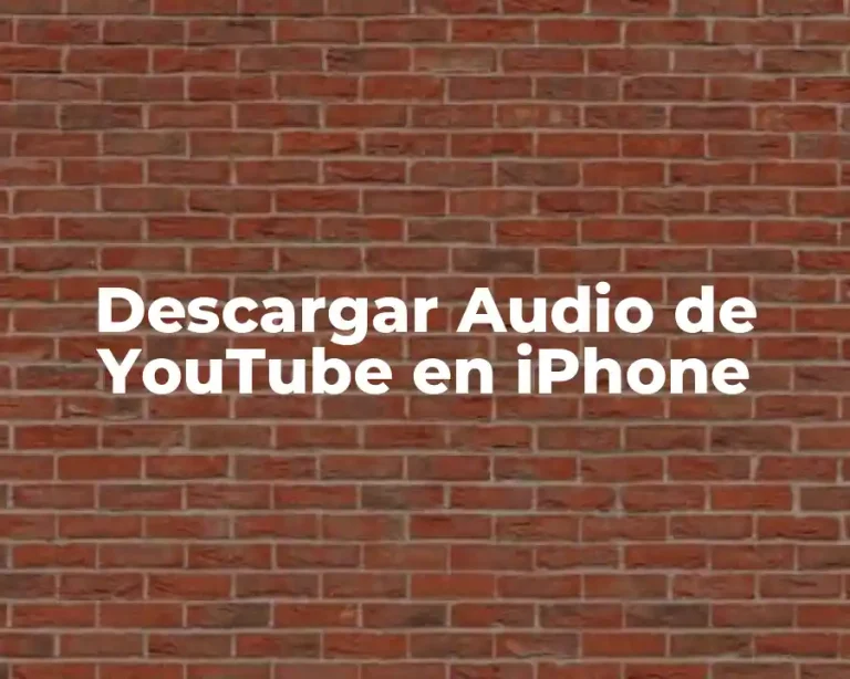 Descargar Audio de YouTube en iPhone