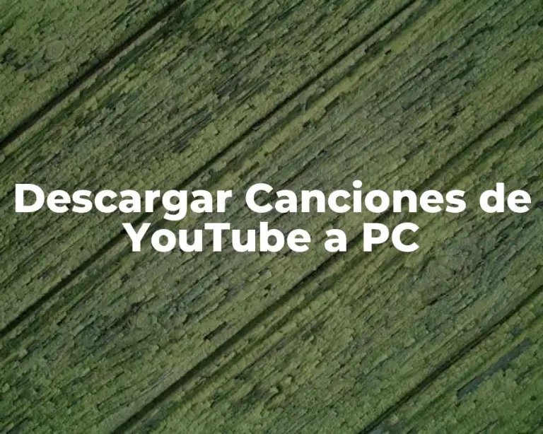 Descargar Canciones de YouTube a PC