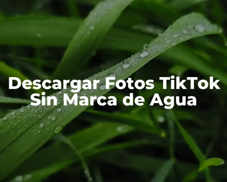Descargar Fotos TikTok Sin Marca de Agua